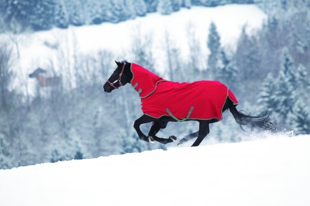 Winter & Regen Dekens Winter & Regen Dekens